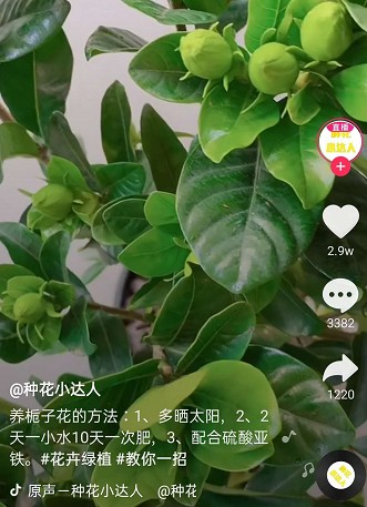 ၆FĲ֮xSҿ(lin)ϵԒ13838587319 O(jng)