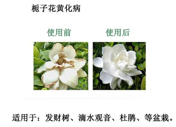 ၆FЙC(j)ڻϵЧչF(xin)Ϣԃ13838587319